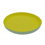 DECORATIVE PLATE