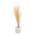 Plastic plant Decoration Beige