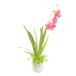 Plastic plant Glass Pot Decoration