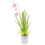 Plastic plant Glass Pot Decoration Pink