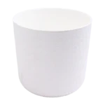 PLASTIC PLANT WHITE