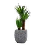 Plastic Tree Decoration 1