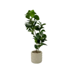 PLASTIC PLANT GREEN LEAVES
