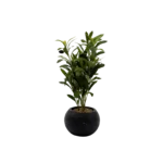 PLASTIC PLANT GREEN LEAVES