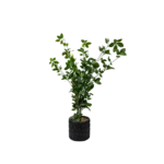 PLASTIC PLANT GREEN LEAVES