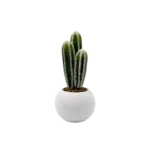 PLASTIC PLANT CACTUS