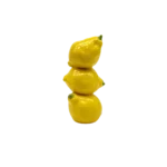 LEMON FLOWER POT