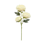 SPRAY PEONY STEM