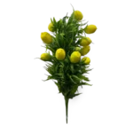 PLASTIC PLANT  LEMON TREE
