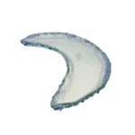 JELLY CRESENT  DISH