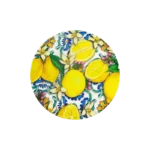 MARBLE COASTER LEMONS