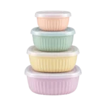 4PCS COLORED SET FOOD STORAGE